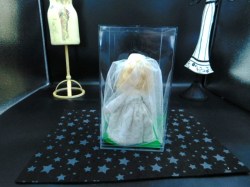 nancy ann bride box back